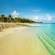 A shore with a calm sea, sand and palm trees